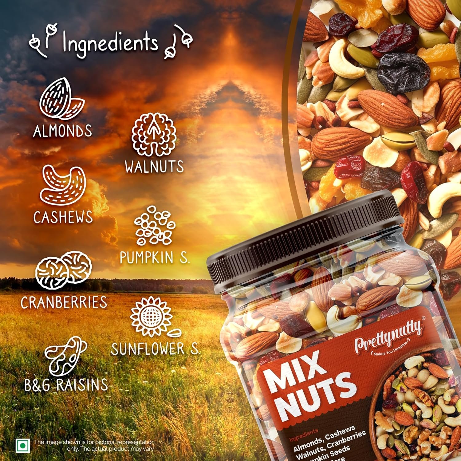 PrettyNutty Healthy Nutmix Dried Almonds, Black Raisins, Cashewnuts, Cranberries, Green Raisins, Walnut Kernels Pack of 2 (500g Each Jar) - Image 4